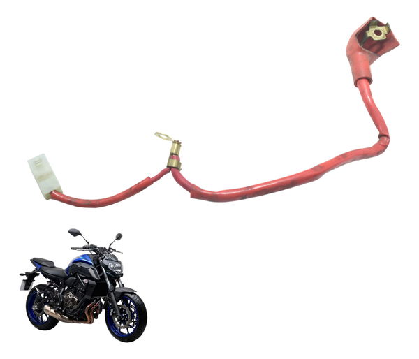 Cabo Bateria Yamaha Mt 07 19-24 Original