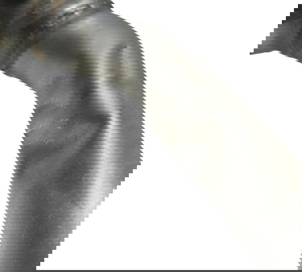 Ponteira Escape Esquerd C/ Avaria Yamaha Xt 660 R 05-08 Orig