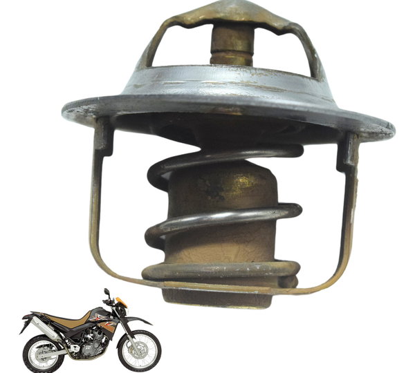 Válvula Termostática Yamaha Xt 660 R 05-08 Original
