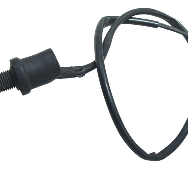 Interruptor Freio Traseiro Yamaha Xt 660 R 05-08 Original