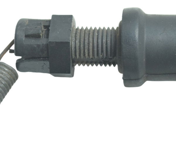 Interruptor Freio Traseiro Yamaha Xt 660 R 05-08 Original