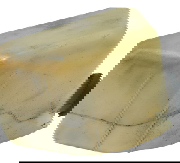 Reservatório Agua Yamaha Xt 660 R 05-08 Original