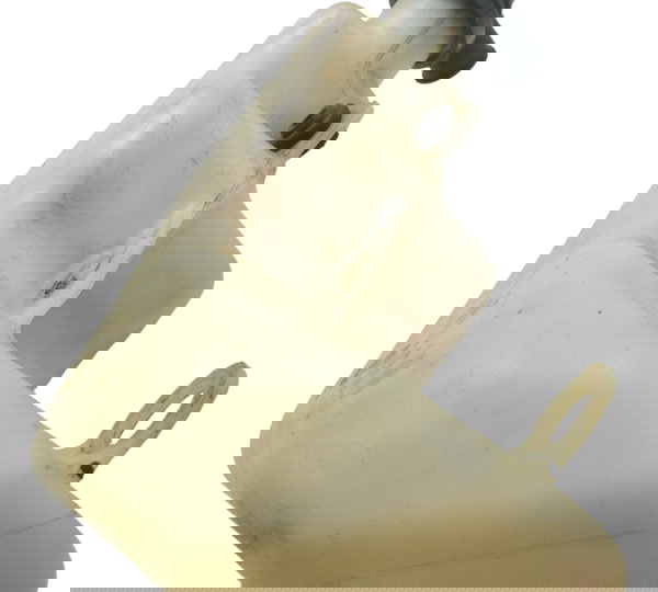 Reservatório Água Yamaha Mt 09 20-24 Original