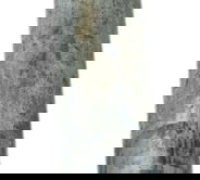 Eixo Roda Traseira Yamaha Mt 09 20-24 Original