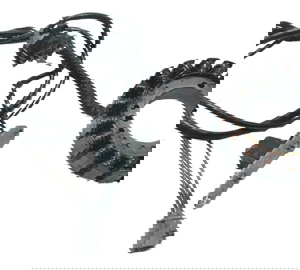 Estator C/ Pulsador Yamaha Xvs 650 Drag Star 98-06 Original