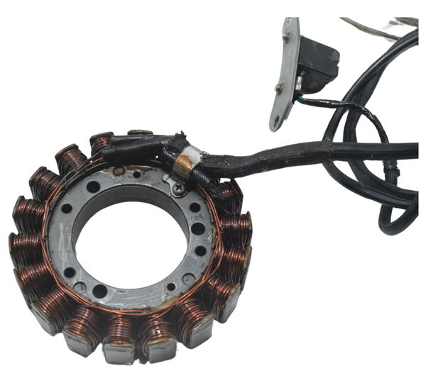 Estator C/ Pulsador Yamaha Xvs 650 Drag Star 98-06 Original