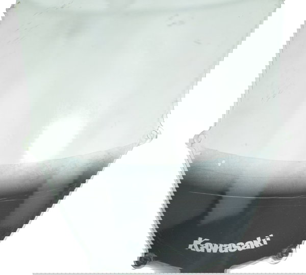 Bolha C/ Detalhes Kawasaki Zx 9r 2001 Original