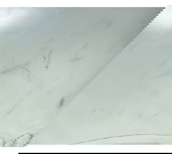 Bolha C/ Detalhes Kawasaki Zx 9r 2001 Original