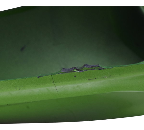 Carenagem Rabeta C/ Detalhes Kawasaki Zx 9r 2001 Original Verde