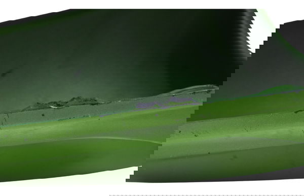 Carenagem Rabeta C/ Detalhes Kawasaki Zx 9r 2001 Original