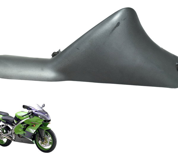 Acabamento Paralama Diant Dir Detal Kawasaki Zx 9r 2001 Orig