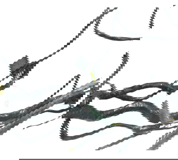 Chicote Principal Kawasaki Zx 9r 1996 Original