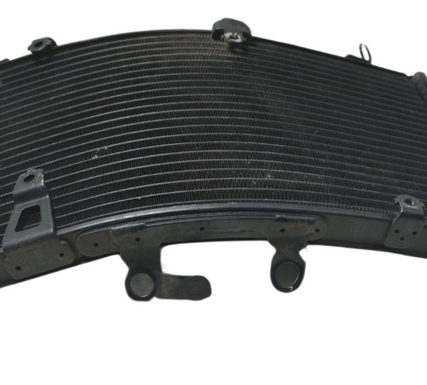 Radiador C/ Detalhes Triumph Tiger 1200 Xca 2017 Original