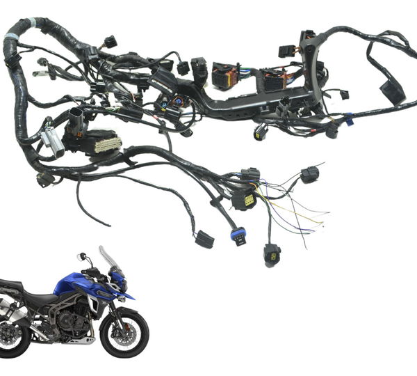 Chicote Principal C/ Avaria Triumph Tiger 1200 Xca 2017 Orig