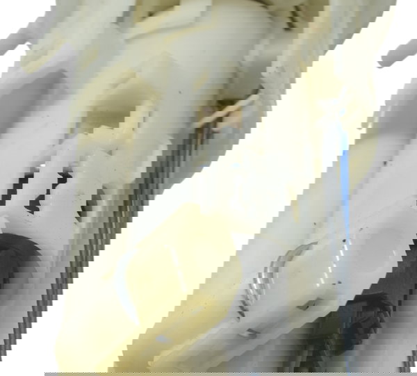 Bomba Combustível Triumph Tiger 1200 Xca 2017 Original