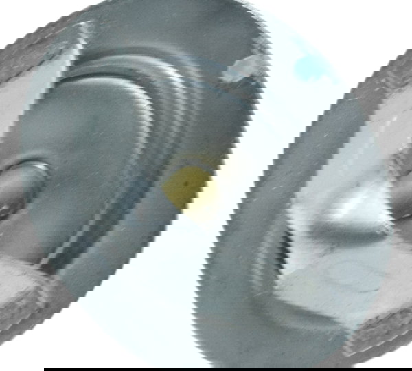 Válvula Termostática Kawasaki Z 900 Rs 18-24 Original