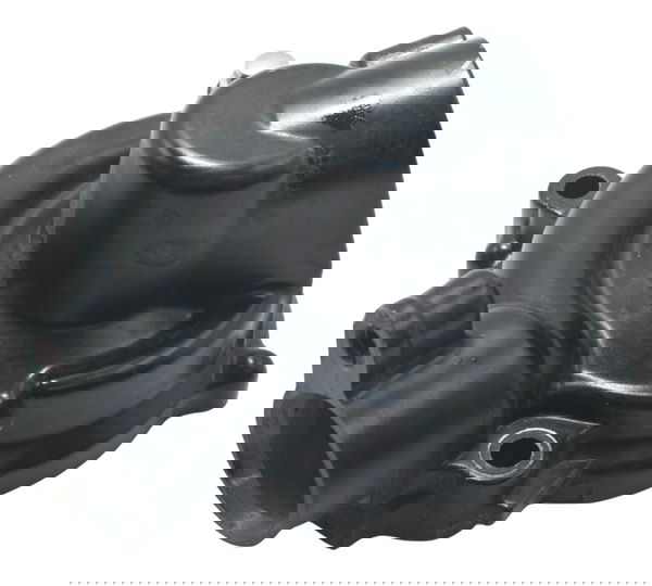 Tampa Bomba Água Kawasaki Z 900 Rs 18-24 Original