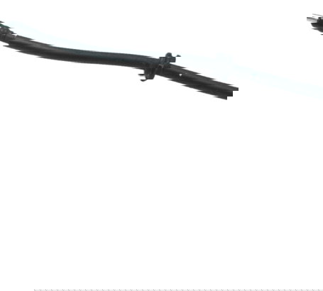 Flexível Freio Traseiro Kawasaki Z 900 Rs 18-24 Original