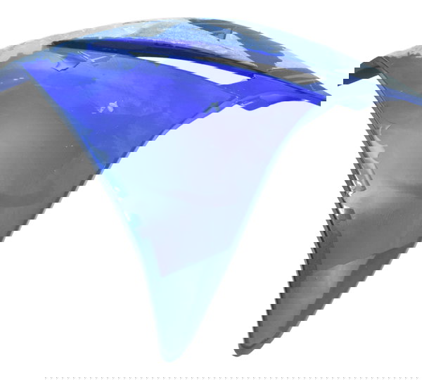 Carenagem Tanque Lat Esq C/ Detal Yamaha Xt 660 R 09-18 Orig Azul