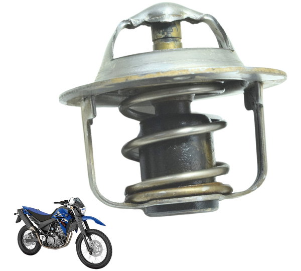 Válvula Termostática Yamaha Xt 660 R 09-18 Original