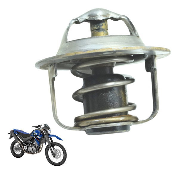 Válvula Termostática Yamaha Xt 660 R 09-18 Original