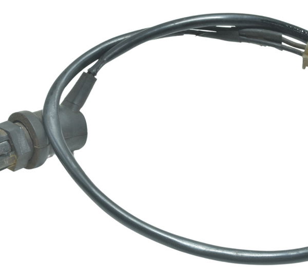 Interruptor Freio Traseiro Yamaha Xt 660 R 09-18 Original