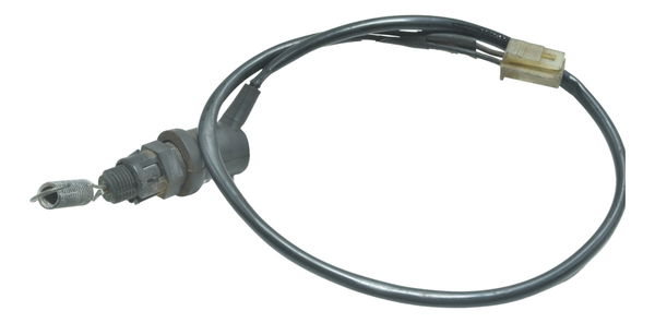 Interruptor Freio Traseiro Yamaha Xt 660 R 09-18 Original