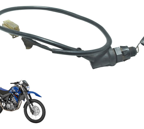 Interruptor Freio Traseiro Yamaha Xt 660 R 09-18 Original