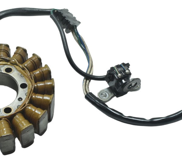 Estator C/ Pulsador Yamaha Xt 660 R 09-18 Original