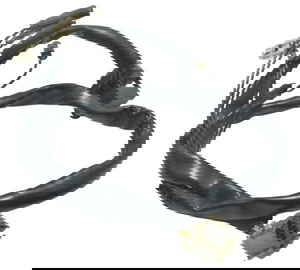 Chicote Farol Yamaha Xt 660 R 09-18 Original