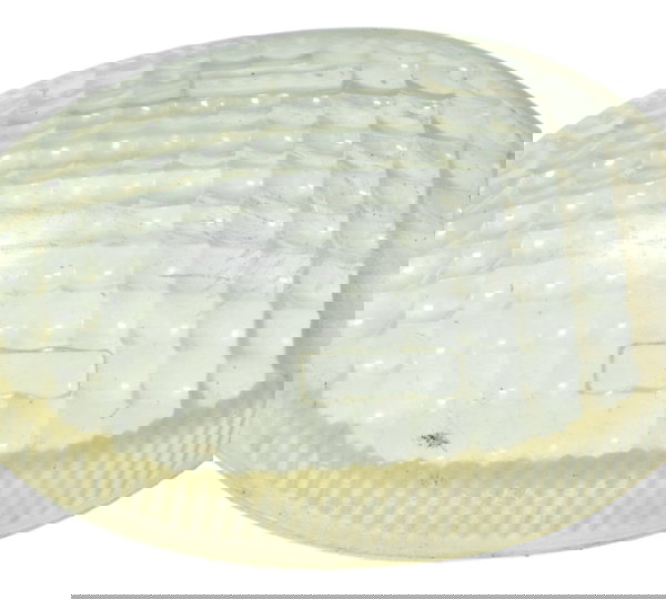 Lente Pisca Yamaha Xt 660 R 09-18 Original