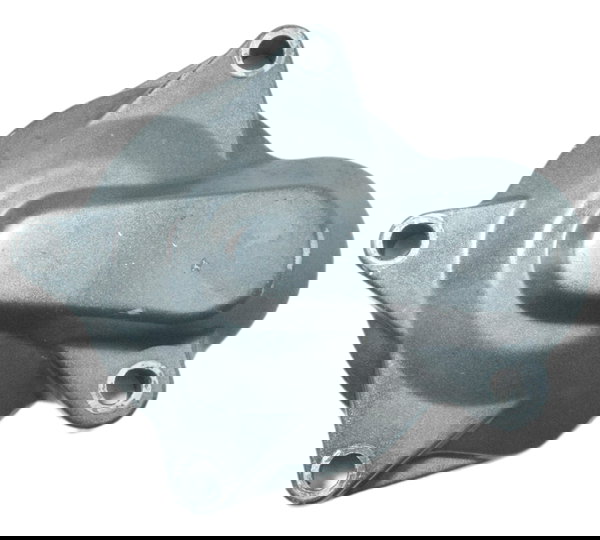 Tampa Engrenagem Redução Part Yamaha Xt 660 R 09-18 Original