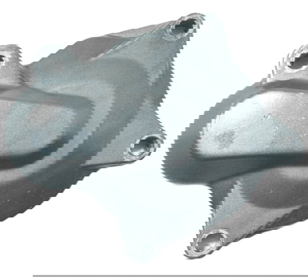 Tampa Engrenagem Redução Part Yamaha Xt 660 R 09-18 Original