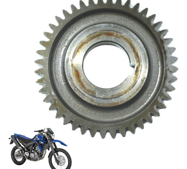 Engrenagem Motor Yamaha Xt 660 R 09-18 Original