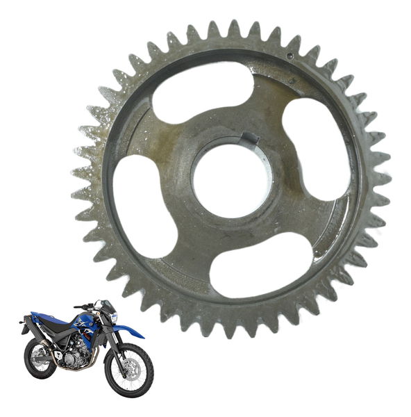 Engrenagem Balanceiro Virabrequim Yamaha Xt 660 R 09-18 Orig