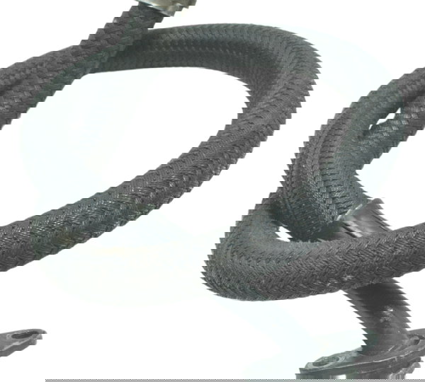 Mangueira Óleo Yamaha Xt 660 R 09-18 Original