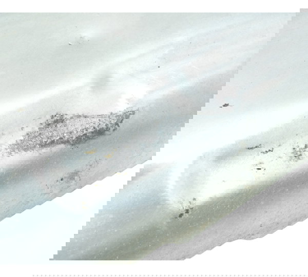 Capa Proteção Escape Yamaha Yzf R1 09-15 Original