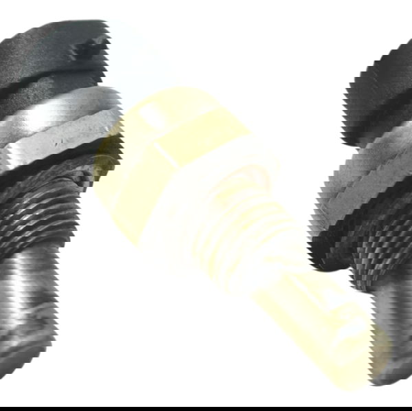 Sensor Temperatura Harley Touring Electra Glide 14-17 Orig