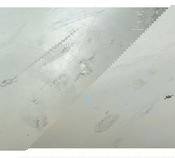 Bolha Parabrisa C/ Det Suzuki Gsx-r 1300 Hayabusa 09-22 Orig