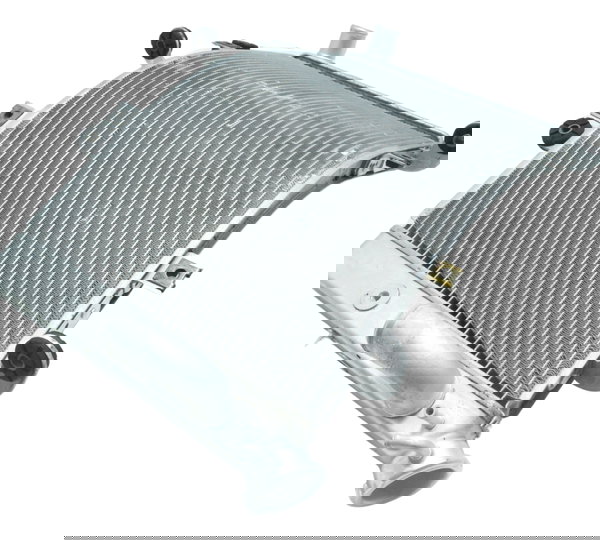 Radiador Água Suzuki Gsx-r 1300 Hayabusa 09-22 Original