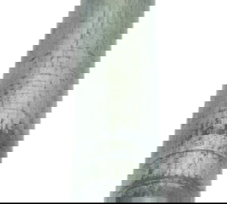 Eixo Roda Traseira Suzuki Gsx-r 1300 Hayabusa 09-22 Original