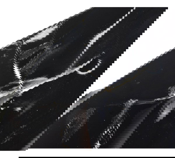 Carenagem Lat Esq C/ Avaria Kawasaki Zx636 Zx 6r 19-24 Orig Preto