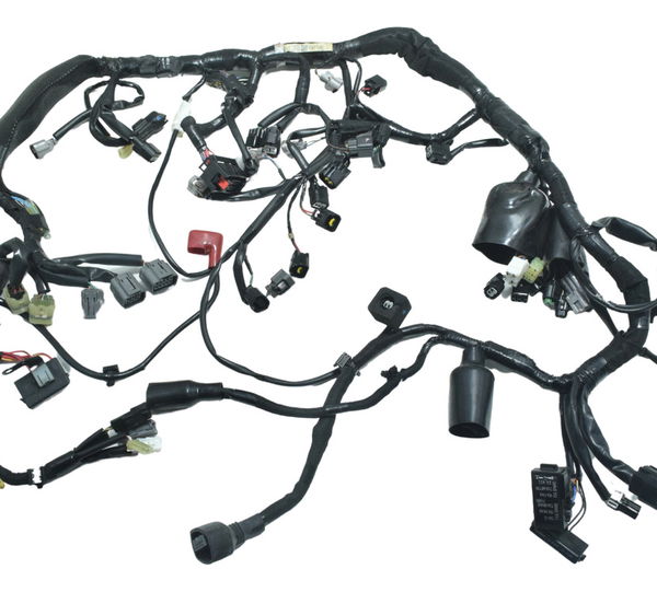 Chicote Principal Kawasaki Zx636 Zx 6r 19-24 Original