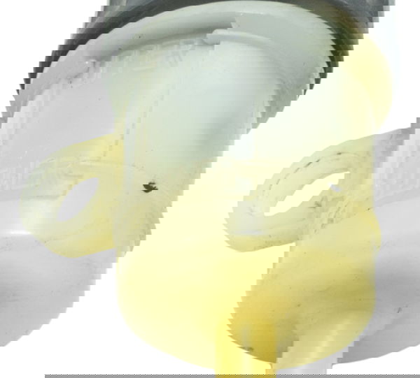 Reservatório Freio Traseiro Kawasaki Z 800 13-17 Original