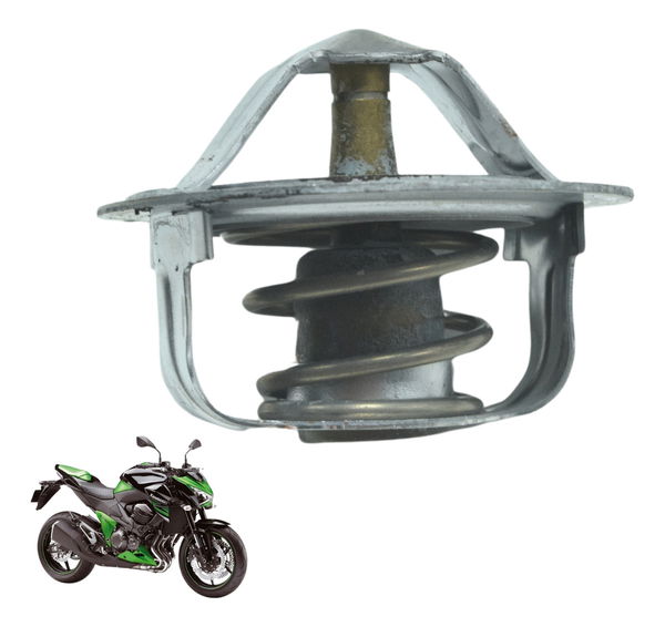 Válvula Termostática Kawasaki Z 800 13-17 Original