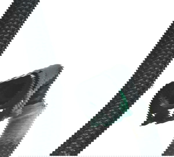 Mangueira Injeção Kawasaki Z 800 13-17 Original