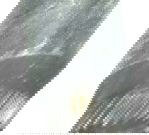 Eixo Seletor Marcha Kawasaki Z 800 13-17 Original