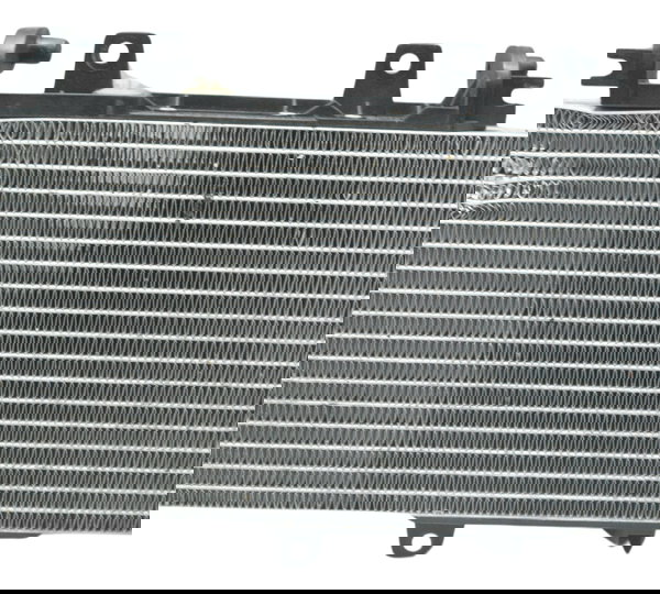 Radiador C/ Detalhes Bmw F 800 Gs 13-16 Original