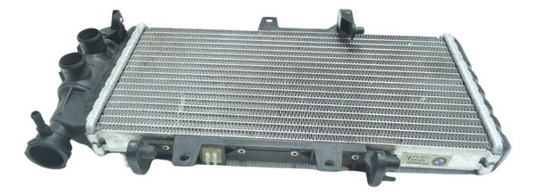 Radiador C/ Detalhes Bmw F 800 Gs 13-16 Original