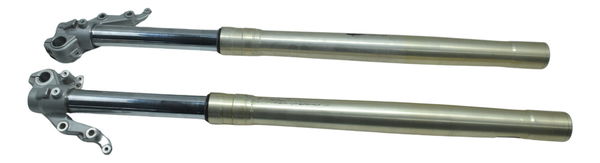 Par Bengalas C/ Detalhes Bmw F 800 Gs 13-16 Original